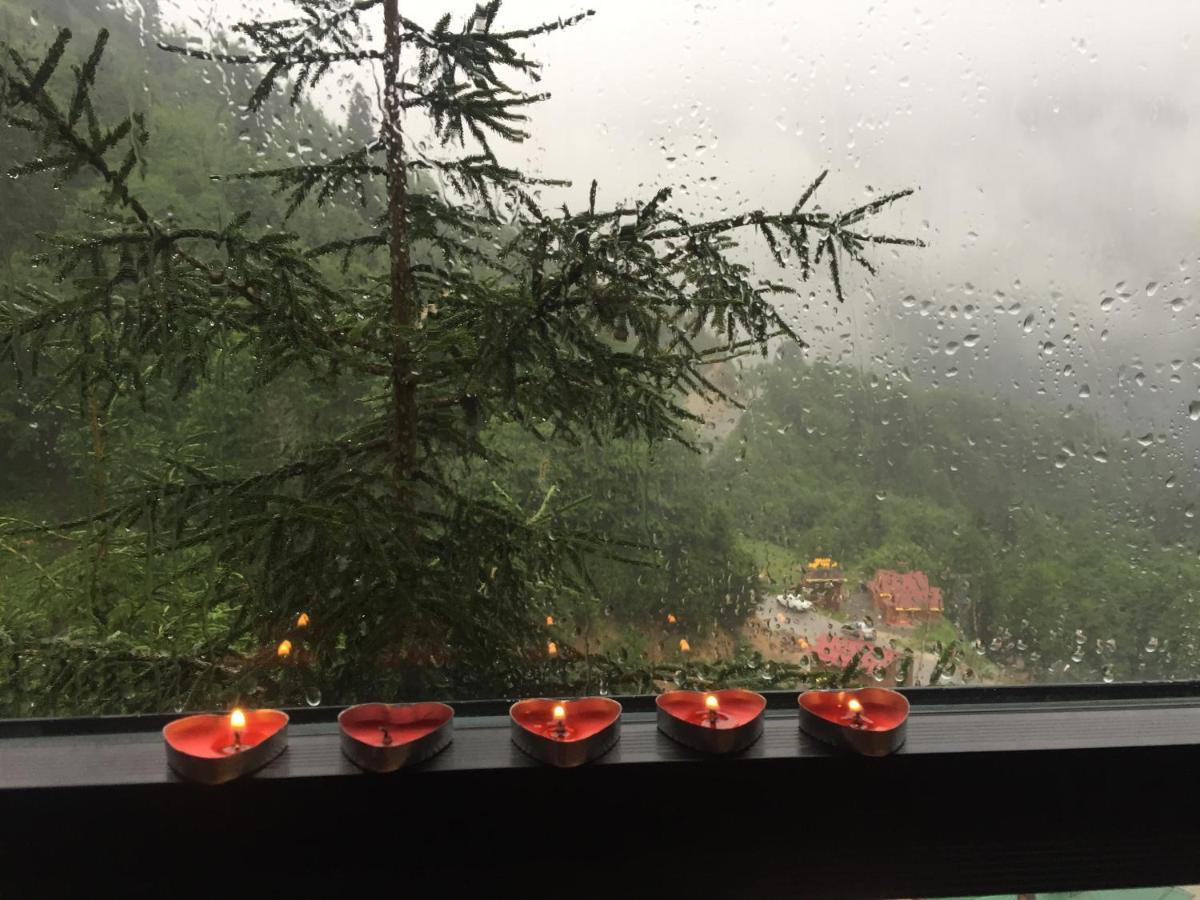 Ayder Dag Evi Villa Eksteriør bilde