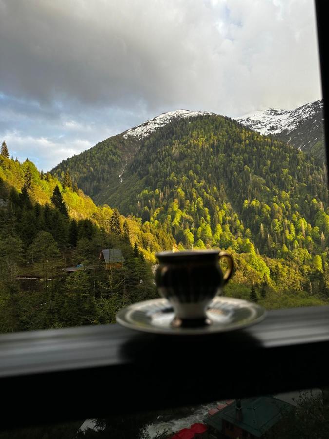 Ayder Dag Evi Villa Eksteriør bilde