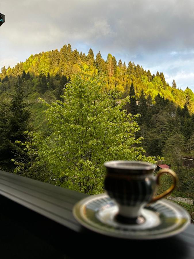 Ayder Dag Evi Villa Eksteriør bilde